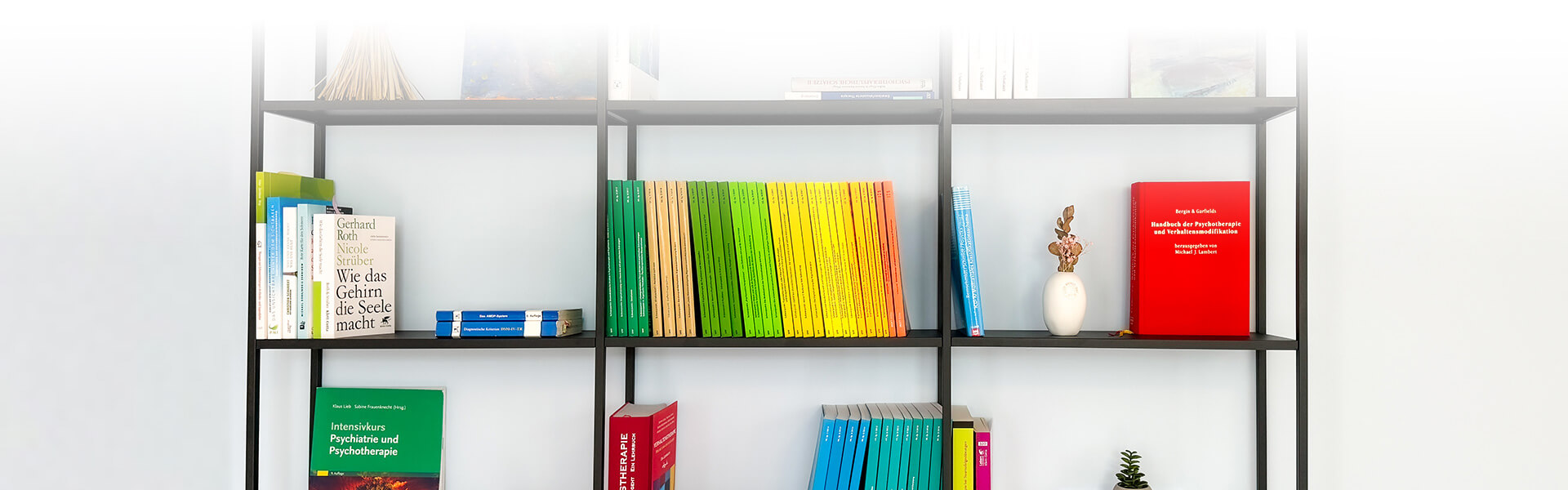 Praxiseinrichtung Bücherregal - Psychotherapie für Jugendliche